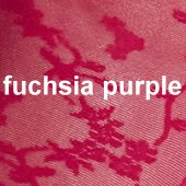 Farbe_fuchsia-purple_cette_203